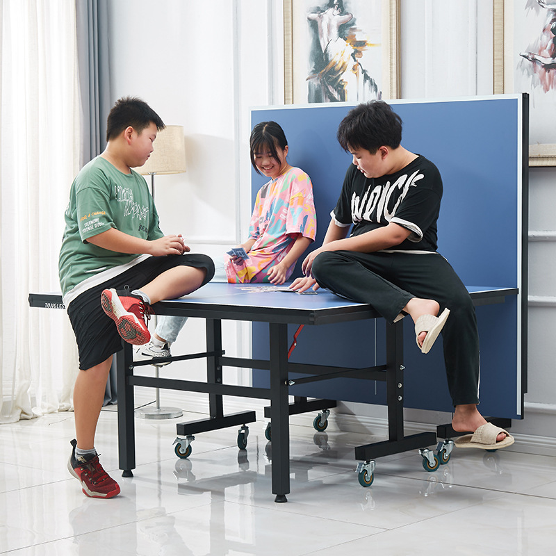 Mesa de Tênis de Mesa Dobrável - Table Tennis Folding Table avaliação e preço